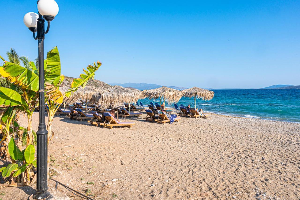Anesis Holiday home *
